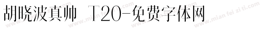 胡晓波真帅 T20字体转换